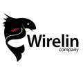 Wireline Wireline