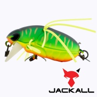 Воблер Jackall Chubby Bug mat tiger