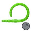 Flex Worm Flex Worm