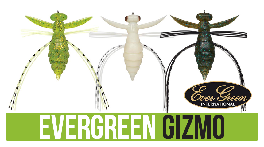 EVERGREEN GIZMO
