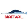 Narval Narval