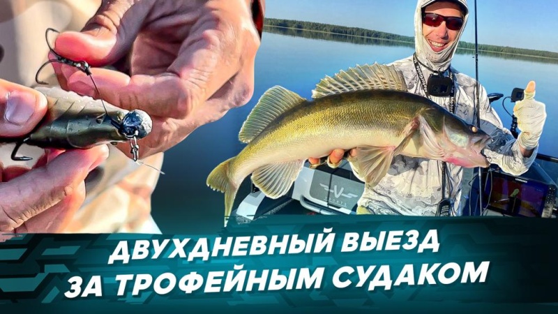 Выезд за трофейным судаком. Видео о ловле судака OnlySpin