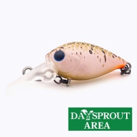 Воблер Daysprout Pico ChatteCra DR SSS Shark Miso