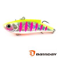 Виб Bassday Range Vib 55ES RC-03