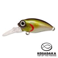Воблер Kosadaka Roger Dive 32F AY