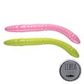 Fatty D Worm Tournament Fatty D Worm Tournament