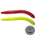 Fatty D Worm Fatty D Worm