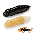 Pupa