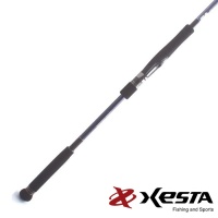 Спиннинг Xesta Runway XR 3.2m 20-80gr 106MH The Versal Comander