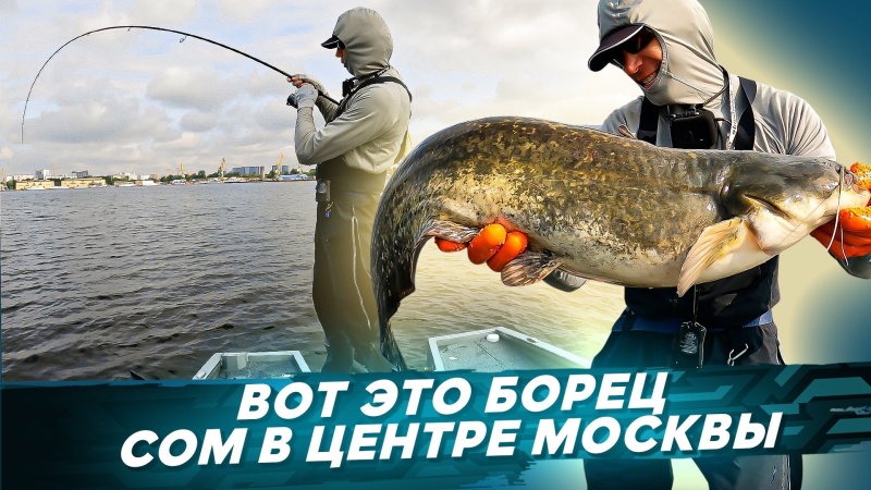 Спиннинг в дугу. Сом в центре Москвы. Рыбалка OnlySpin