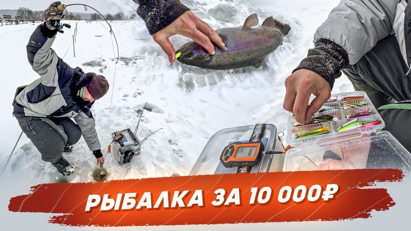 Рыбалка за 10000 рублей. Ловля форели. Рыбалка с Онлиспин!
