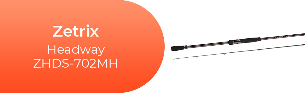 Zetrix-Headway-ZHDS-702MH.jpg