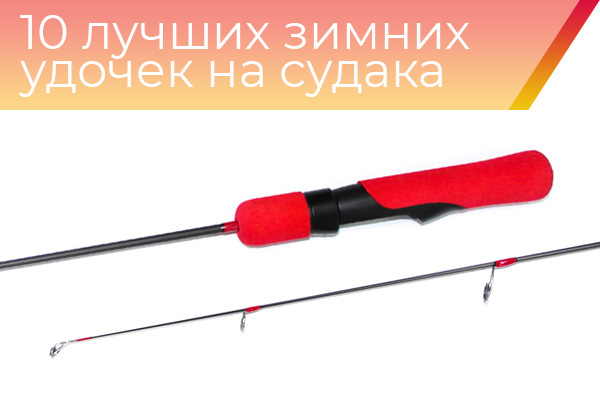 10 лучших зимних удочек на судака