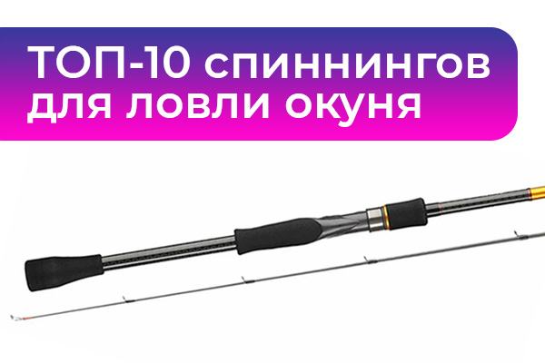 ТОП-10 спиннингов для ловли окуня