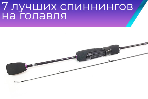 7 лучших спиннингов на голавля