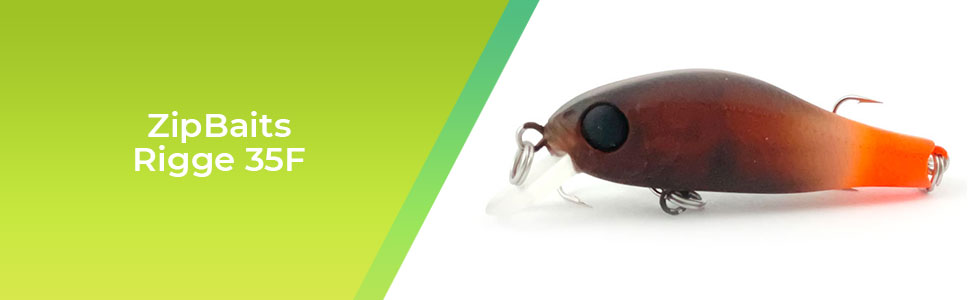 ZipBaits-Rigge-35F.jpg