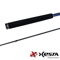 Спиннинг Xesta Runway SRF 3.08m 5-40gr 10.1L-F Finesse Style