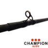 Спиннинг кастинговый Champion Rods Team Dubna Generation II 2.55m 25-100gr TDC2-842XXH