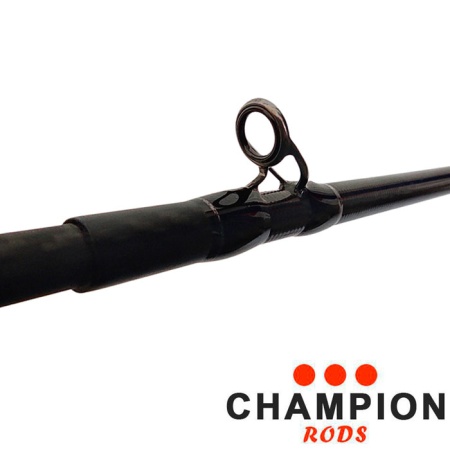 Спиннинг кастинговый Champion Rods Team Dubna Generation II 2.55m 25-100gr TDC2-842XXH