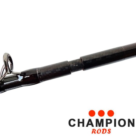 Спиннинг кастинговый Champion Rods Team Dubna Generation II 2.55m 25-100gr TDC2-842XXH