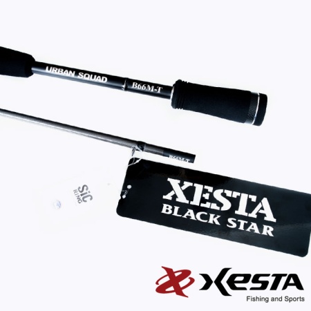Спиннинг кастинговый Xesta Black Star 2025 B75MH-S 2.26m 3-25gr Multi Blaster