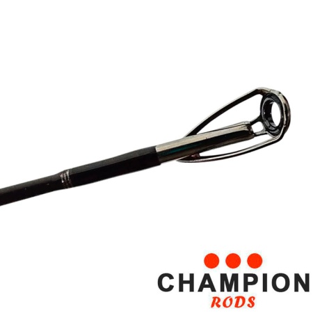 Спиннинг кастинговый Champion Rods Team Dubna Generation II 2.55m 25-100gr TDC2-842XXH