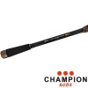 Спиннинг кастинговый Champion Rods Team Dubna Generation II 2.55m 25-100gr TDC2-842XXH
